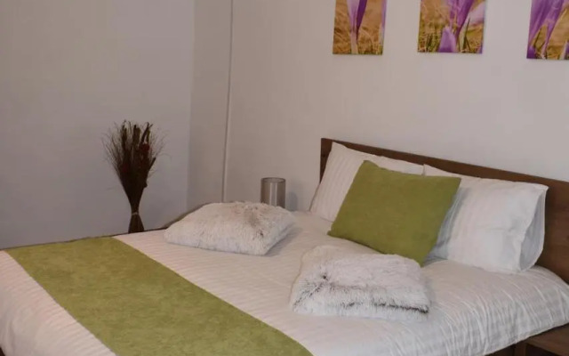 Apartament Zimbru