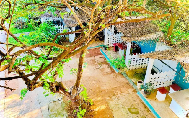 New Peacock Resort