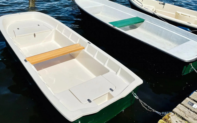 Holiday home Seeblick am Dümmer See, Dümmer