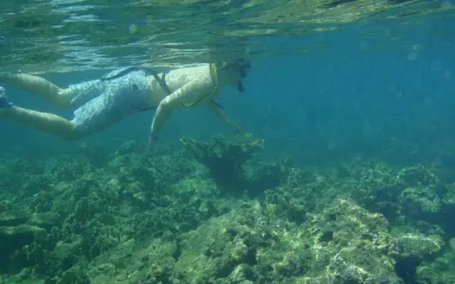 Scuba Portobelo