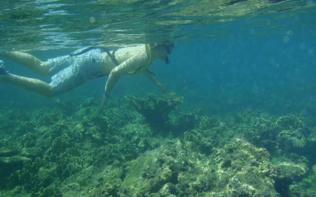 Scuba Portobelo