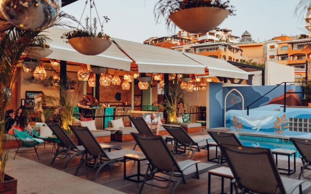 Mayan Monkey Los Cabos Social Hotel - Adults Only