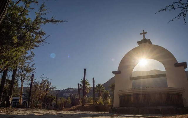 Orchid House Baja & Beach Club