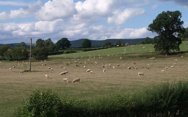 Quixhill - Denstone - Dove Meadow B & B