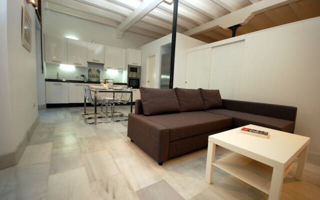 Loft San Laureano