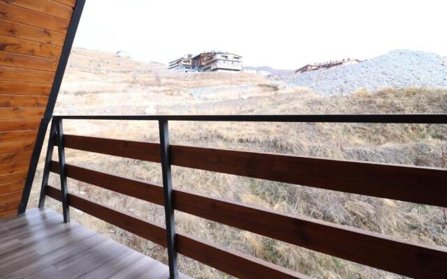 1BR Apartment for 4 in Marshall Gudauri