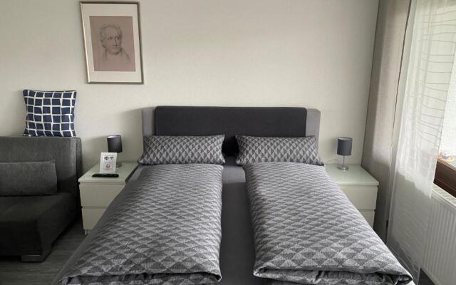 Apartment Goethe