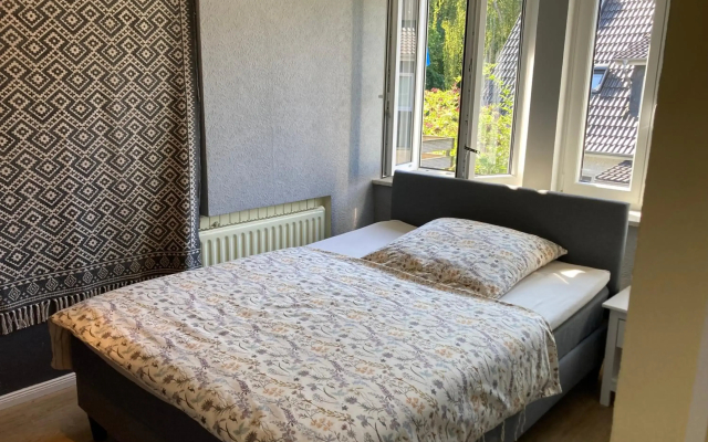 Baumwipfel