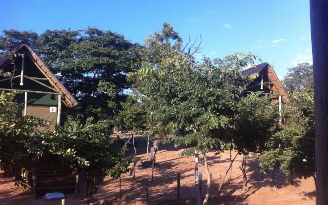 Lion Roars Lodge