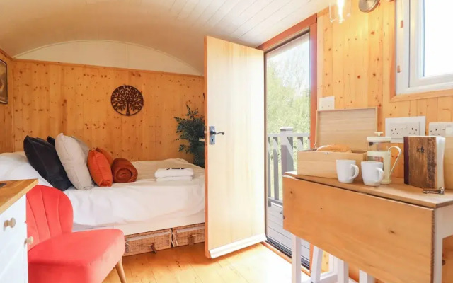 Red Kite at Wild Valley Huts