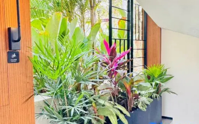 Mandina Homestay (Xishuangbanna Jinghong Manhena Guzhai)
