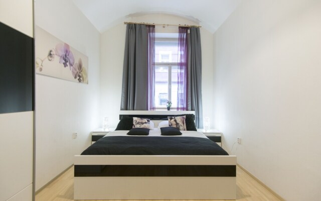 Spacious apartment near Wenceslas Square