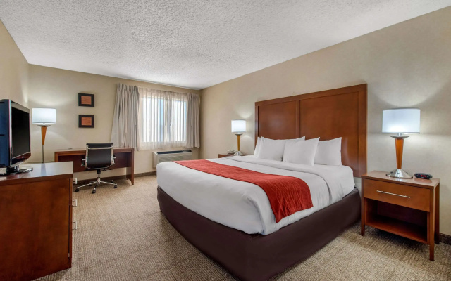 Comfort Inn Denver Southeast Area