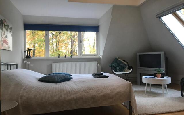 Exclusive villa AMS area