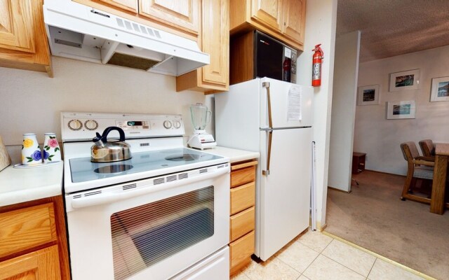 Summit #267 1 Bedroom Condo by RedAwning