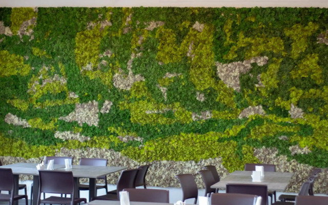 Hotel Tiby