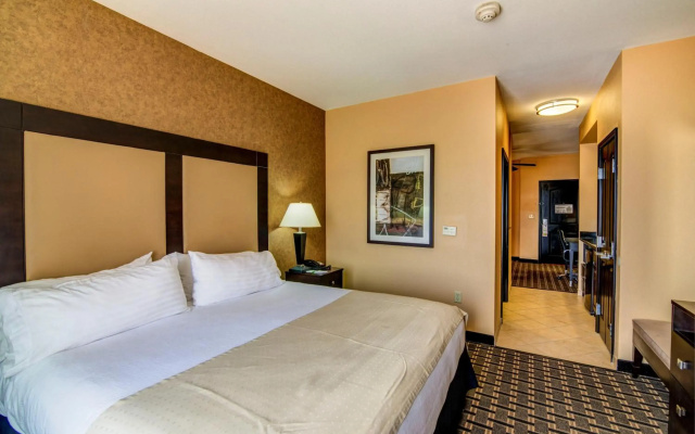 Holiday Inn Arlington NE-Rangers Ballpark by IHG