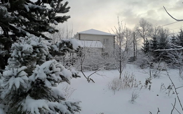 Two-storey scandi style house