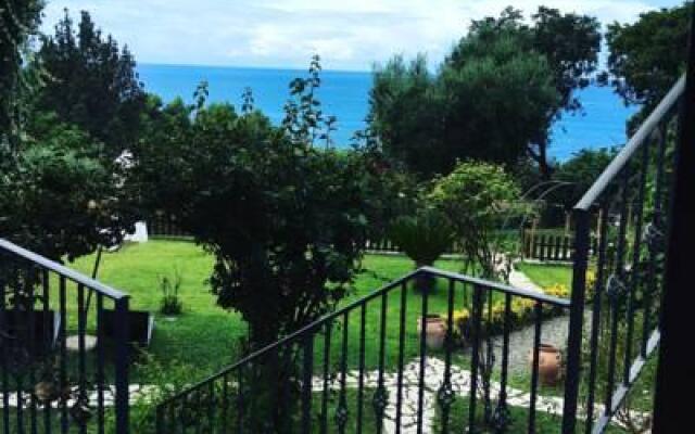 Bed and Breakfast Nefer