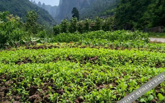 Zhiyuan  Inn