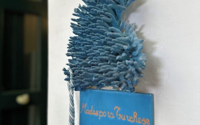 Salapolis Luxury Apartments