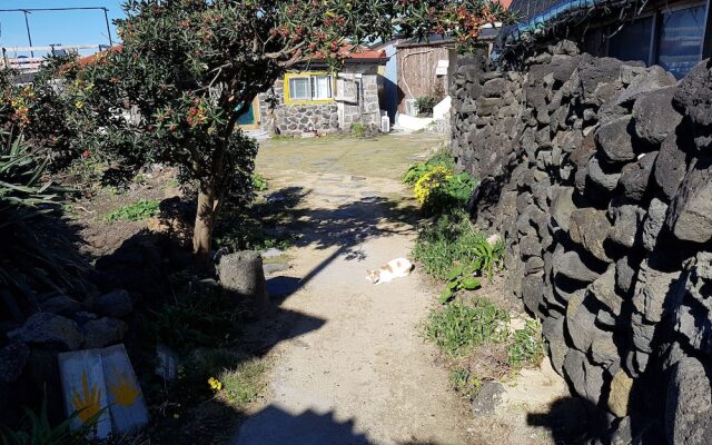 Santiago Guesthouse Hamdeok - Hostel