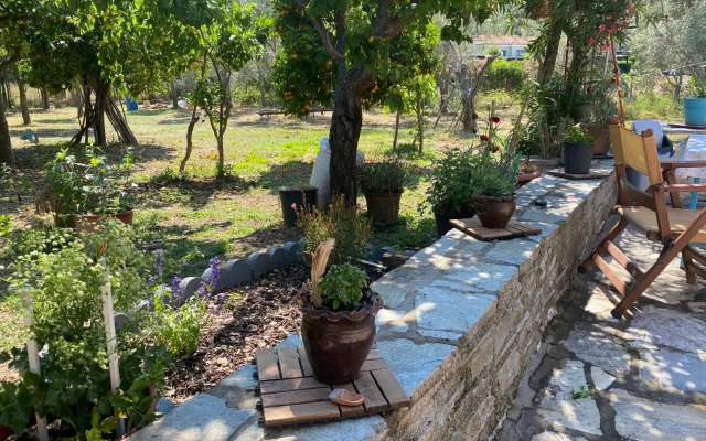 Tilemvi Seaside House Milina Pelion!!!