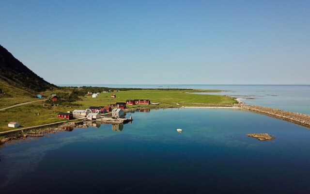 Lighthouse View Lofoten