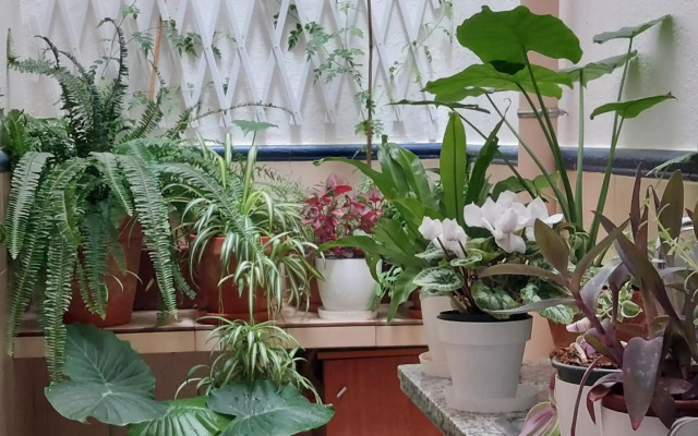 Apartamentos Los Descalzos