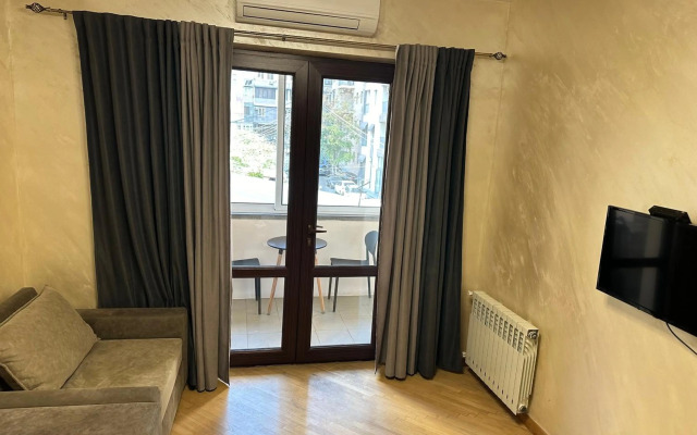 Comfortable apartment in center