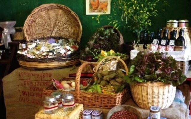 Fattoria Dell'orto Degli Ulivi