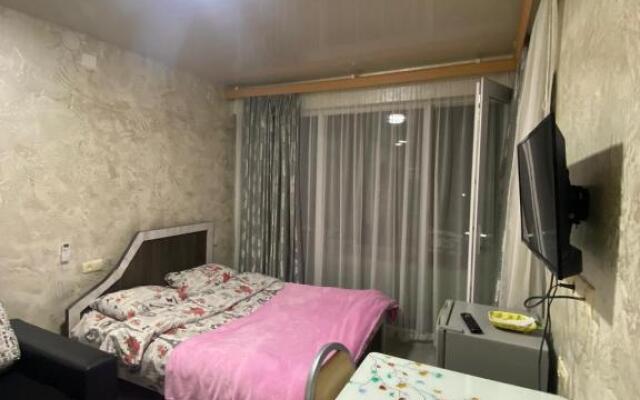 Apartment studio maksim