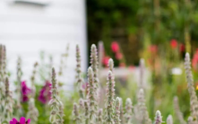 Coghill Cottage