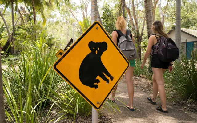 Bounce Magnetic Island