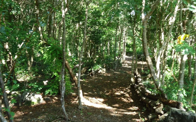 3 Bedroom Vacation Rental