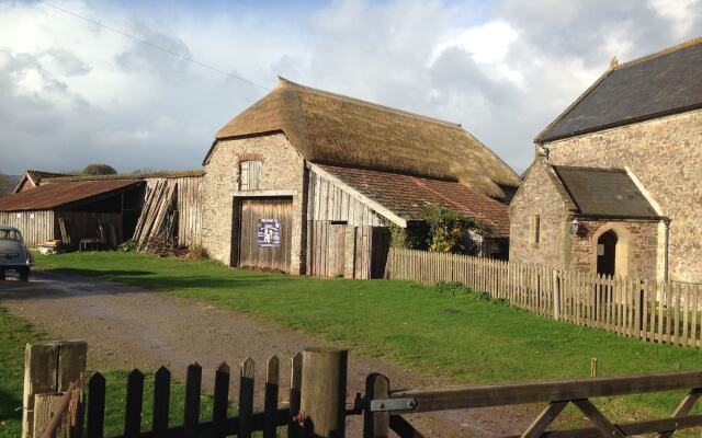 Exmoor Owl & Hawk Centre