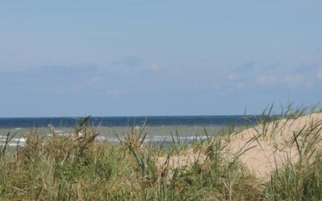 Aux Fleurs D'anemone