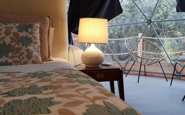 Herdade Ribeira de Borba