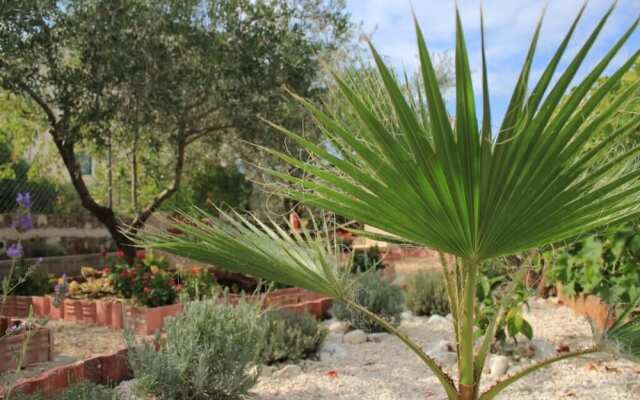 Sea View Apartment Orhideja, Sleeps 4