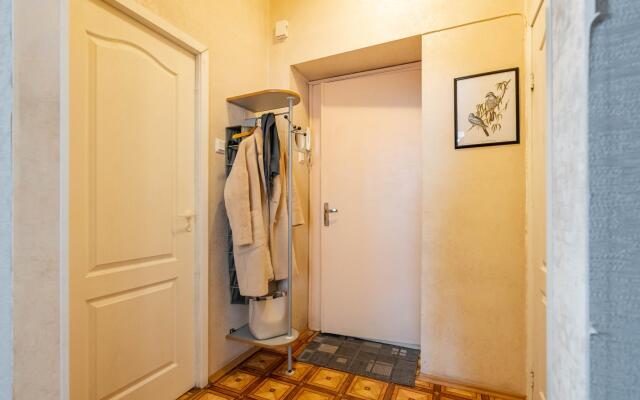 SutkiLive (СуткиЛайв) на проспекте Кронверкский