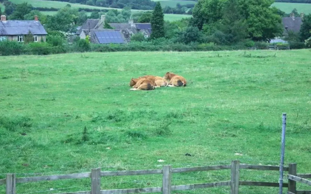 Stone House Bed and Breakfast