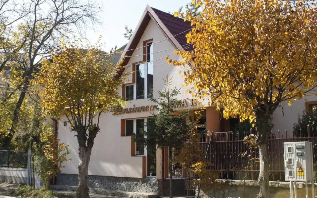 Pensiunea Doma'r - Alina