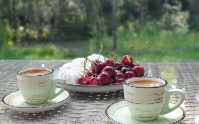 Luxury apartment DOLCE VITA