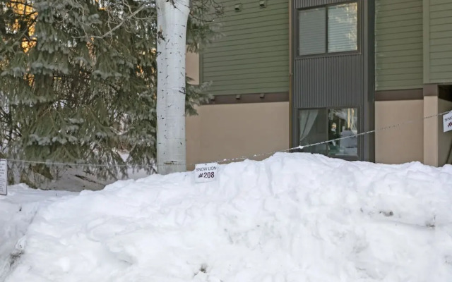 Snowlion Condos 208 2 Bedroom Condo