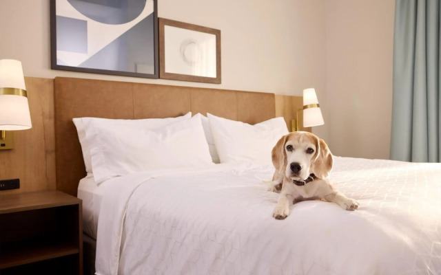 Staybridge Suites Tucson Airport by IHG