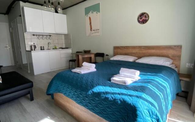 Your Cozy Apartment in New Gudauri, Loft 2 #432