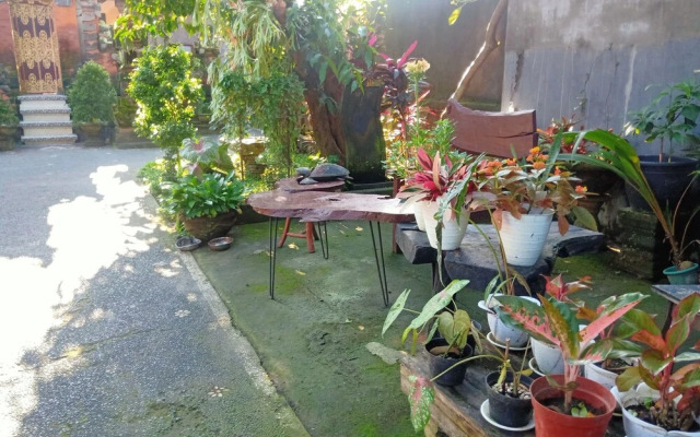 Ida Guest House