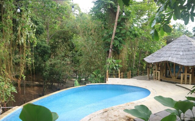 The Osing Bamboo - A Liberta Collection