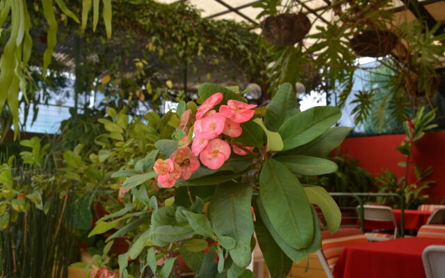 Morrison Hotel San Salvador