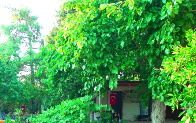 Yesildag Pansiyon Gokceada